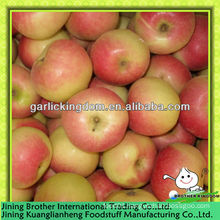 China 2013 new crop red gala apple